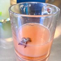   at Rachel's Ginger Beer in Seattle