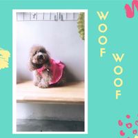 we love every creature. But during our peak hours, please dont bring ur buddy. at Toska in Jakarta