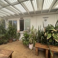   at Raised by the Waves  in Kahuku