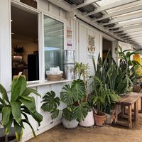   at Raised by the Waves  in Kahuku