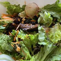 Vietnamese noodle bowl with eggplant at Café Rojo  in San Jose