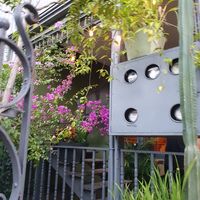 Outdoors at Café Rojo  in San Jose