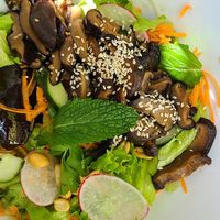 Vietnamese bowl with eggplant and shitake at Café Rojo  in San Jose