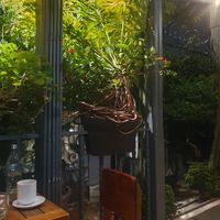 Schönes Ambiente at Café Rojo  in San Jose