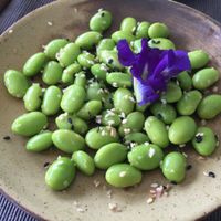 Edamame at Gecko Republic Jungle Cafe in Koh Tao