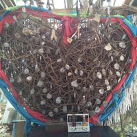 Where else at Where Else! in Koh Lanta