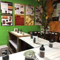   at Choco Museo in Antigua
