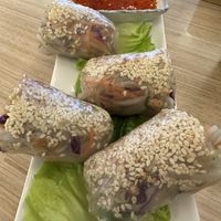 Vietnamese spring rolls  at Botanist Cafe in Malacca