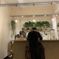 Plants everywhere.  at Jaunty Goat Coffee - Northgate St in Chester