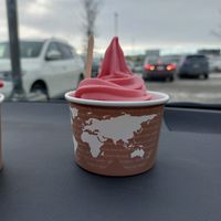 Vegan ice cream at IKEA in Calgary