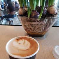 Soy cappuccino  at Aroma in Haifa
