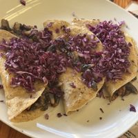 Huitlacoche (corn mushrooms) enchiladas vegan option and vegetarian   at Amaranto in Tulum