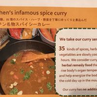 Delicious Japanese style curry   at K Kitchen Green in Myoko