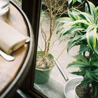 Nice decoration at Simbiosi in Florence