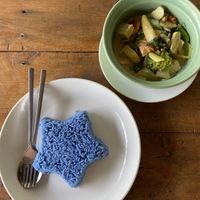 Green Curry with Rice   at Sea Gypsea in Koh Yao Noi