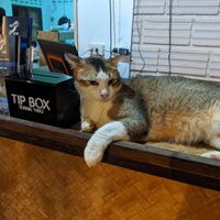  at Yawee in Koh Lanta