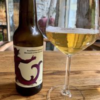 House beer (light) - ask about the story behind it  at Rataskaevu 16 in Tallinn