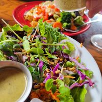 House salad with housemade herbal vinegarette 🤤 at Wildflower Cafe and Bakery in Arcata