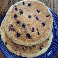 Blueberry and chocolate chip vegan cakes at Wildflower Cafe and Bakery in Arcata