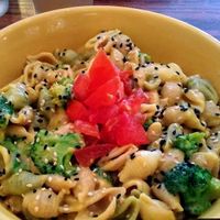 Vegan mac and cheese with broccoli!! at Wildflower Cafe and Bakery in Arcata