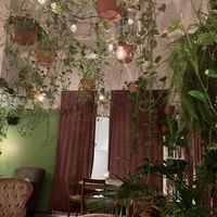   at Criollo Chocolate Café in Drammen
