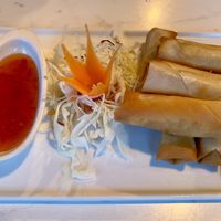 Veg spring rolls  at Tong Tara in Nelson