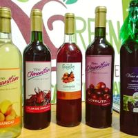 Variety of wine made in Nicaragua at Green Store in Leon