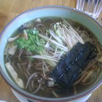 kinoko noodle soup at Cha-Ya in Berkeley