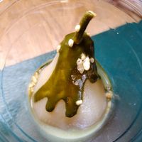 Pear compote dessert. Mildly sweet. at Cha-Ya in Berkeley