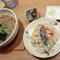 The soba and veggie tempura set. Tempura and vegan dashi were highlights. at Tateshinaan in Tokyo