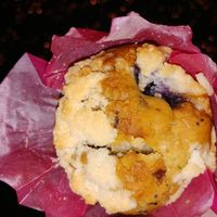 Blueberry space muffin at Abraxas in Amsterdam