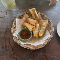 biggest springrolls I've seen! and an amazing big pineapple smoothie  at Hilltop in Koh Muk