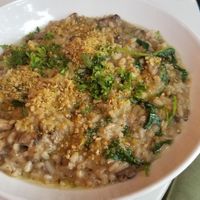 Truffle & Wild Mushroom Risotto at Community Restaurant in Oakville