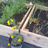 Beautiful organic Garden at Aguacate in Miami