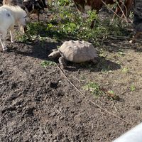 Sanctuary 😃 #Veganuary at Aguacate in Miami