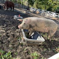 Sanctuary 😃 #Veganuary at Aguacate in Miami