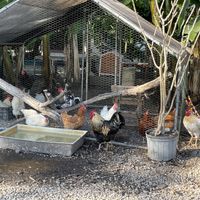 Sanctuary 😃 #Veganuary at Aguacate in Miami