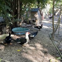 Sanctuary 😃 #Veganuary at Aguacate in Miami