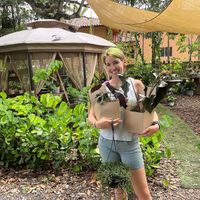   at Aguacate in Miami