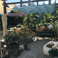   at Aguacate in Miami