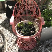   at Aguacate in Miami