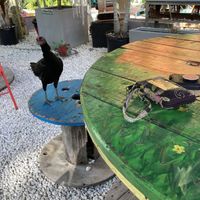   at Aguacate in Miami