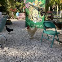   at Aguacate in Miami