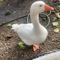 My new favorite person   at Aguacate in Miami