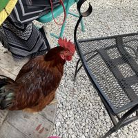   at Aguacate in Miami