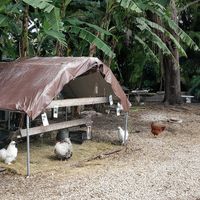  at Aguacate in Miami