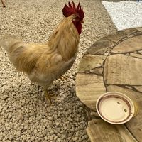 He wants to give me a tour!  at Aguacate in Miami