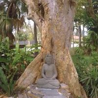 Buddha statue at Aguacate in Miami