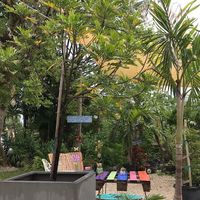 beautiful surroundings  at Aguacate in Miami