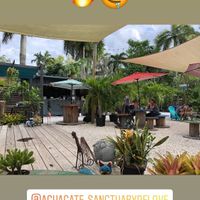 View at Aguacate in Miami